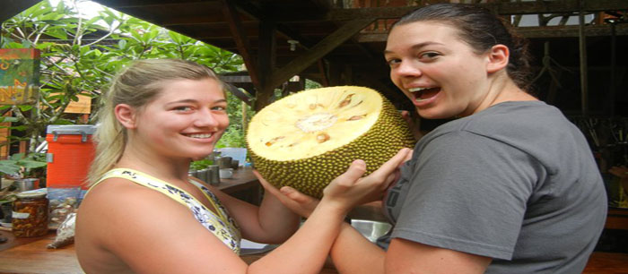 Sharing the massive fruit