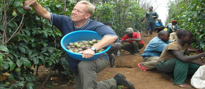 Passion fruit harvesting